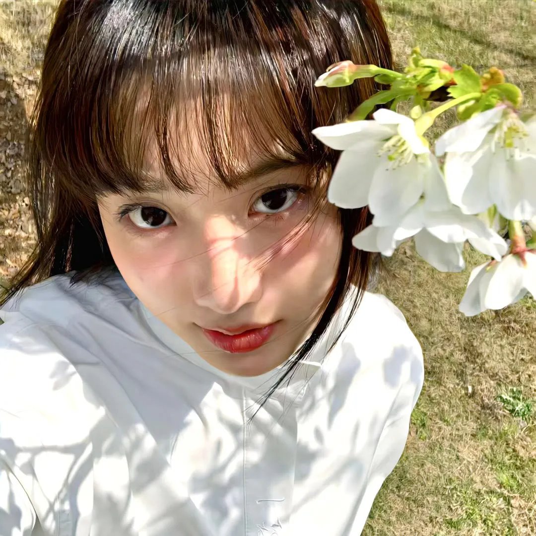 万物生灵