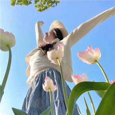 长安的荔枝